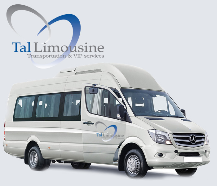 tal limousine, mercedes vito, vip airport service